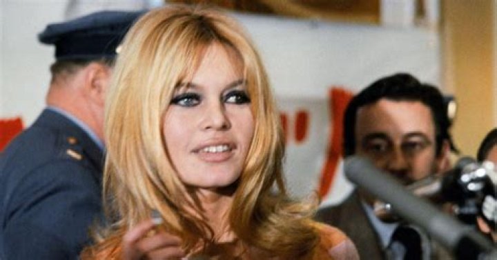 Exploring The Life And Loves Of Brigitte Bardot's Spouse