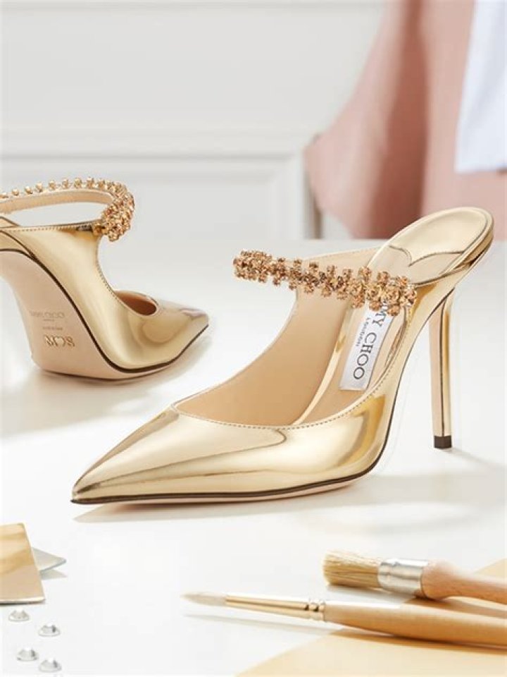 Meet The Wife Of The Acclaimed Shoe Designer: Unveiling Jimmy Choo's Spouse