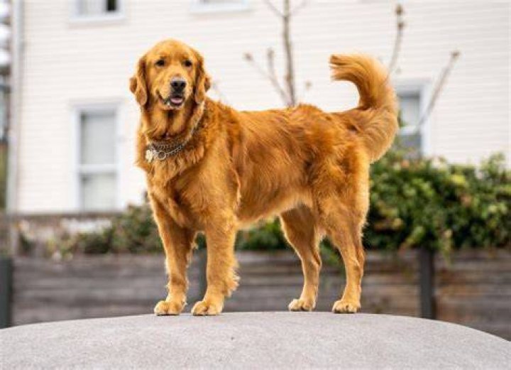 The Definitive Guide To Skye Frank's Age