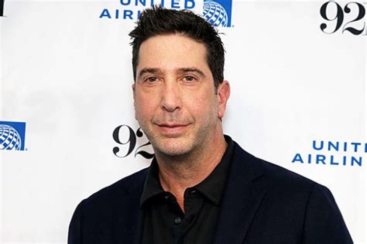 Unraveling The Life And Career Of David Schwimmer