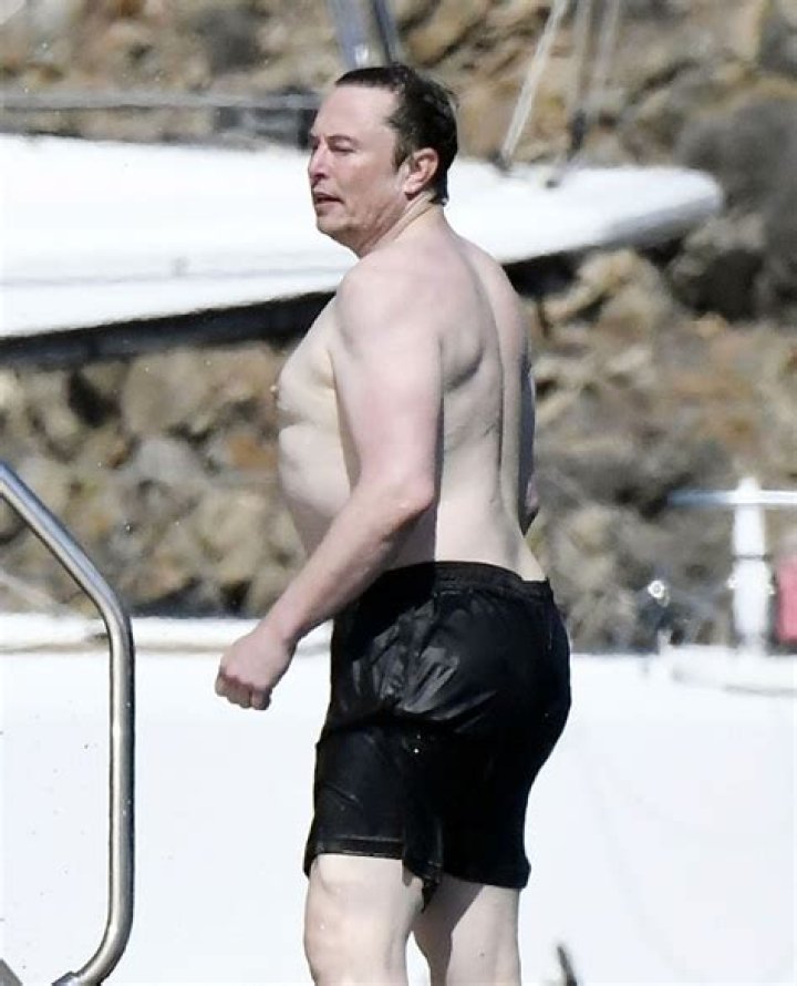 Unveiling The Mystery: Elon Misk Shirtless
